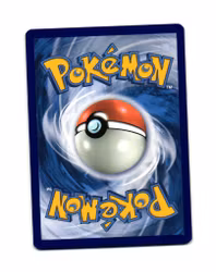 Scraggy Reverse Holo Common 041/073 Champions Path Pokémon
