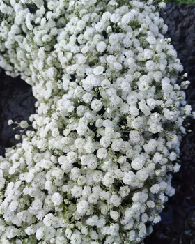 Krans av fluffig vit Brudslöja. (bilden 3000:- ca 40 cm)