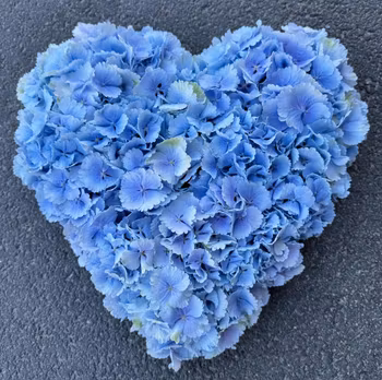 Hjärta med enbart blå Hortensia 3D (Bilden ca 2000:-)