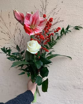 Amaryllis bukett med höjd och fina tillbehör. Cellofan och matchande band ingår. (Första bilden ca 420:-)