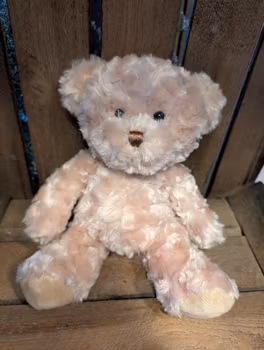 Kalle, nalle från Teddykompaniet ca 25 cm lång