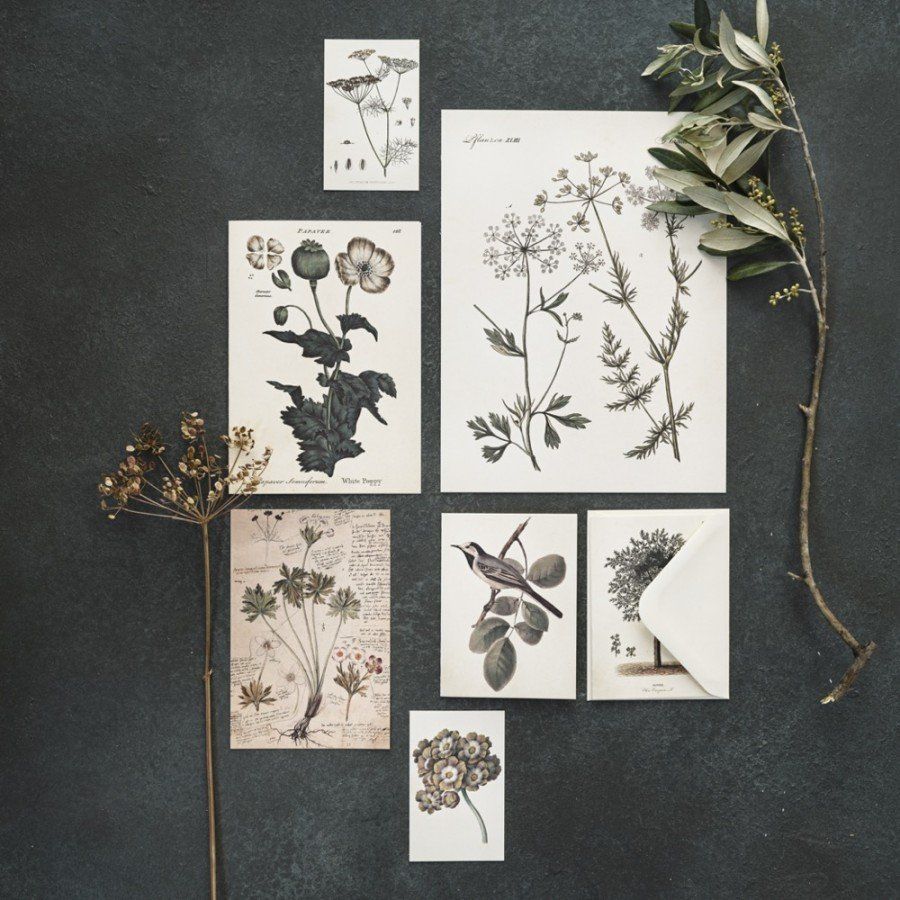 Gripsholmsparkens blommor AB
