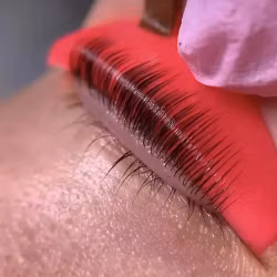 Lashlift Coils L Bend