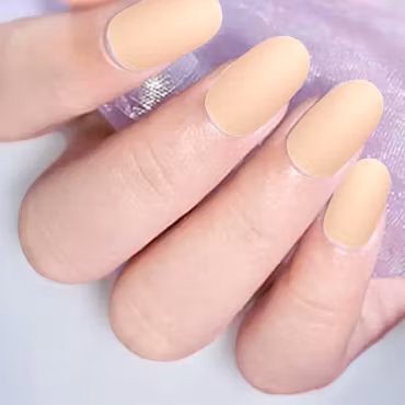 Press On False Nails - Khaki Tude