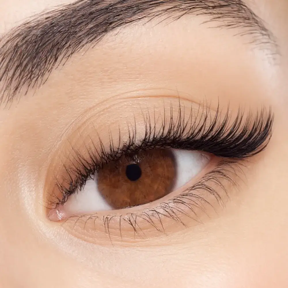 Single lashes 0.20 D