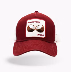 Shake your Cocos