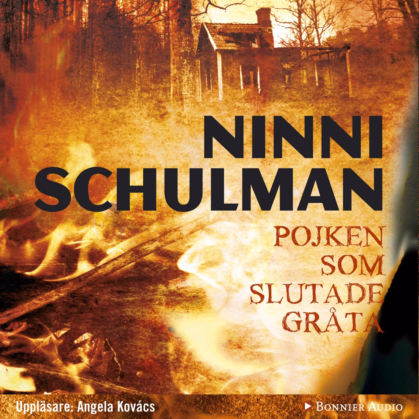 Pojken som slutade gråta - Ninni Schulman (Ljudbok)