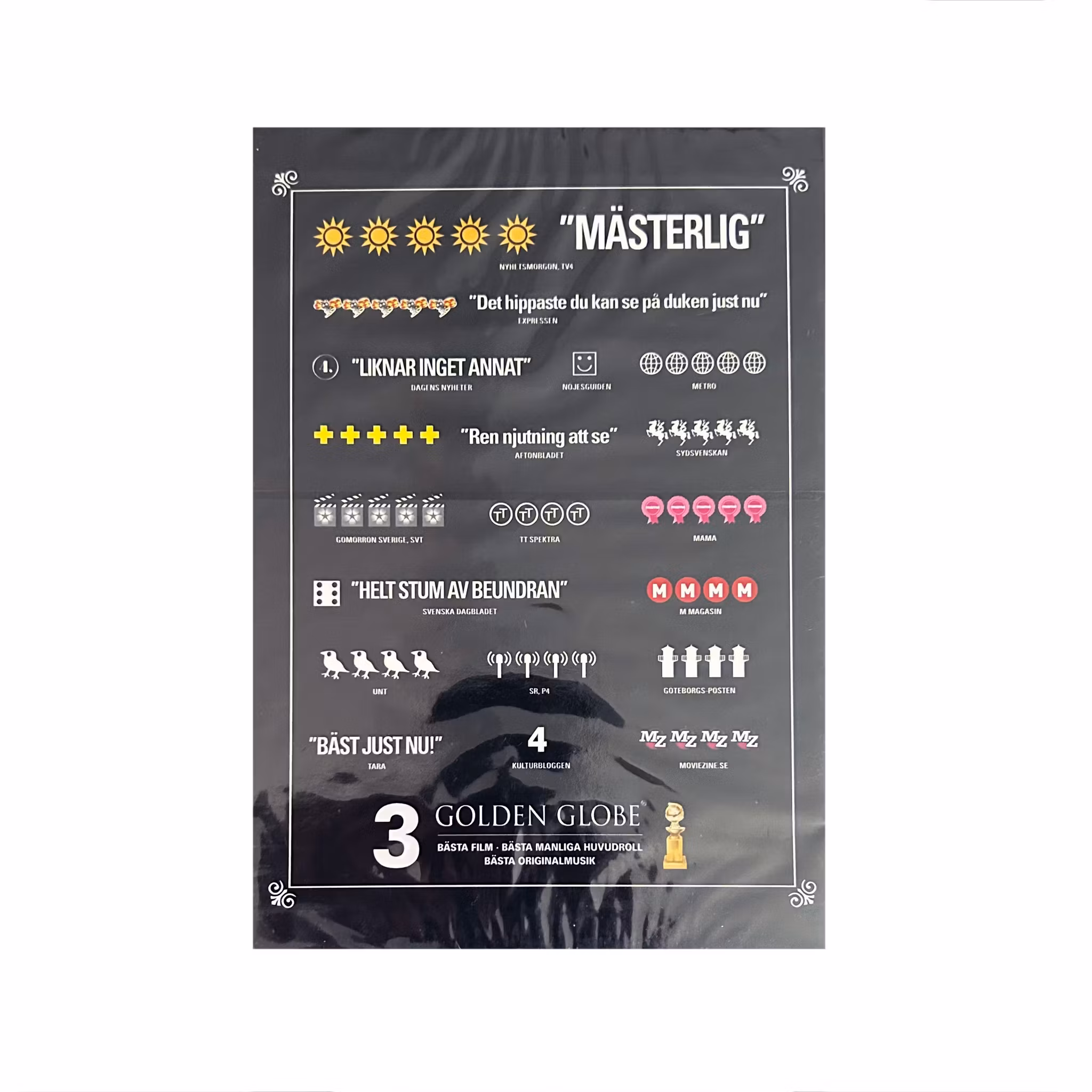 The Artist (DVD)
