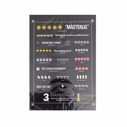The Artist (DVD)
