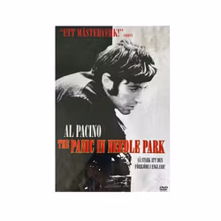 The Panic in Needle Park (DVD)