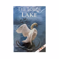 The Lords of The Lake (DVD)