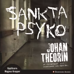 Sankta Psyko - Johan Theorin (Beg. Ljudbok)