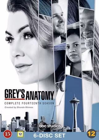 Greys Anatomy - Säsong 14 (DVD)