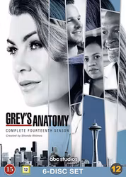 Greys Anatomy - Säsong 14 (DVD)
