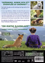 Flickan Och Räven (DVD)