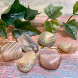 Tumlad Månsten (Indisk)