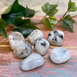 Tumlad Regnbågs månsten