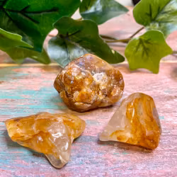 Tumlad Golden Healer