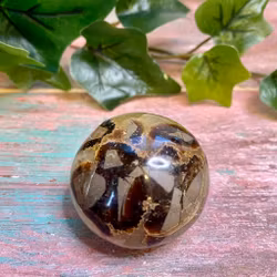 Septarian Handsten