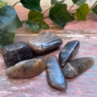 Tumlad Månsten svart