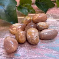 Tumlad Månsten persiko