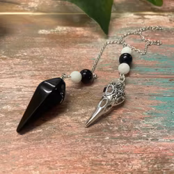 Unik pendel med fågelkranium , obsidian och månsten