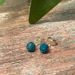 Apatit facetterade silver örhängen