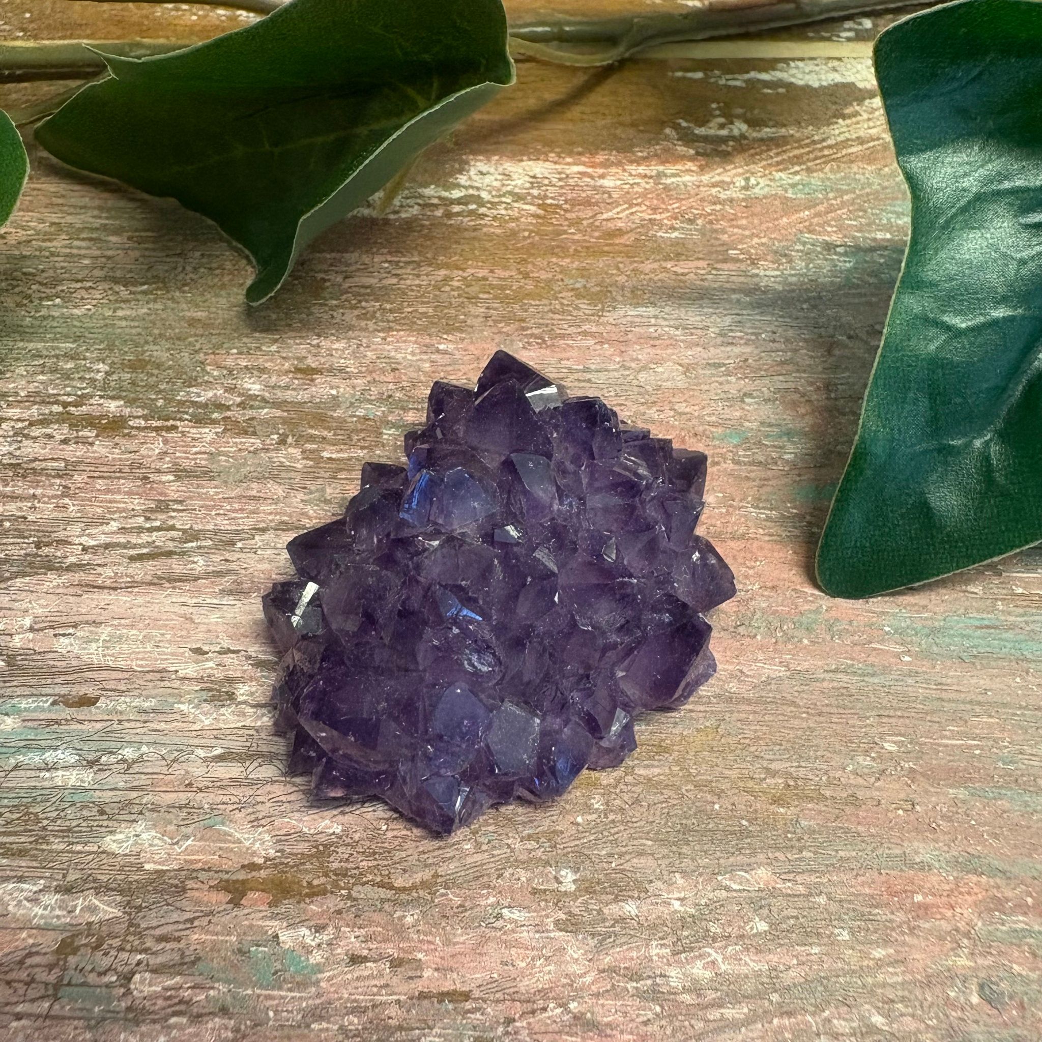 Ametist blomma