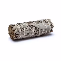 Vit salvia