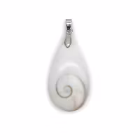 Shivas öga (Gomati chakra)  Hänge