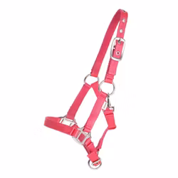 Grimma Miniature, cerise