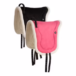 Barbackapad Protector, ponny