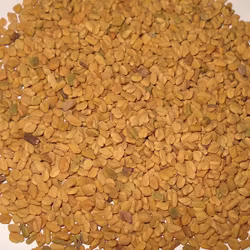 Bockhornsklöverfrö, 1000g