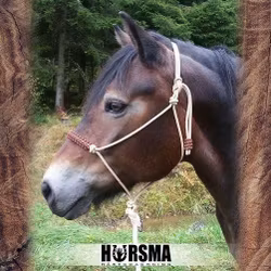 Repgrimma Soft