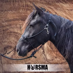 Repgrimma Horsma Hybrid, cob