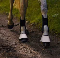 Reflexboots HS