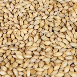 Korn Complett helt, 25kg