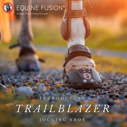 Trailblazer Jogging Shoe - NYHET!