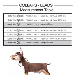 Stardust Leash - Gold