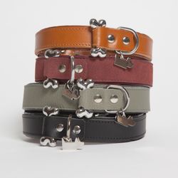 Aragon Suede Leather Collar Grey 35-43cm