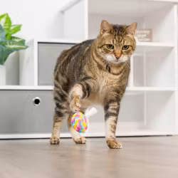 Kopia Lollipop Kattleksak med Catnip