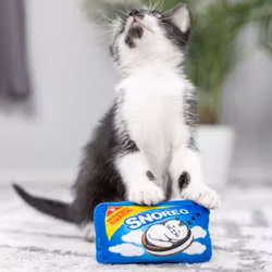 Kopia Snoreo Cookies Kattleksak med Catnip