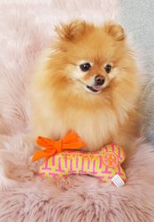 Haute Diggity Dog Bark Bone 18cm
