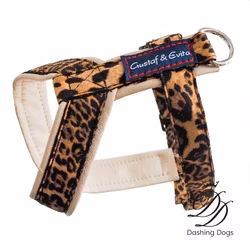 Gustaf & Evita Hundsele Pro Leo/Beige