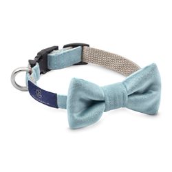 Halsband Bow-tie Celeste