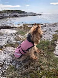 Gustaf & Evita Regntäcke Soft-Shell Rosa