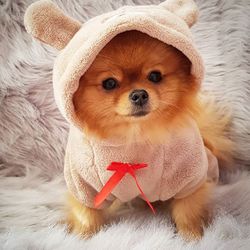 Teddy Jumpsuit