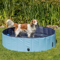 Hundpool