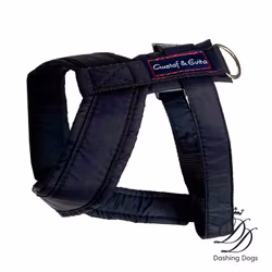 Gustaf & Evita Hundsele Pro Svart