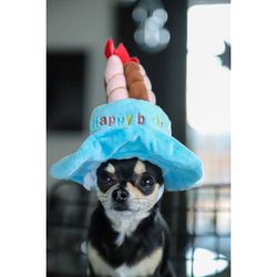 Birthday Cake Hat